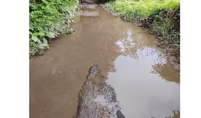 রাস্তা নাকি নদী! নবীনগরের বানিয়াচং মোড় থেকে দীর্ঘসাইর রাস্তার বেহাল দশায় জন দুর্ভোগ চরমে 